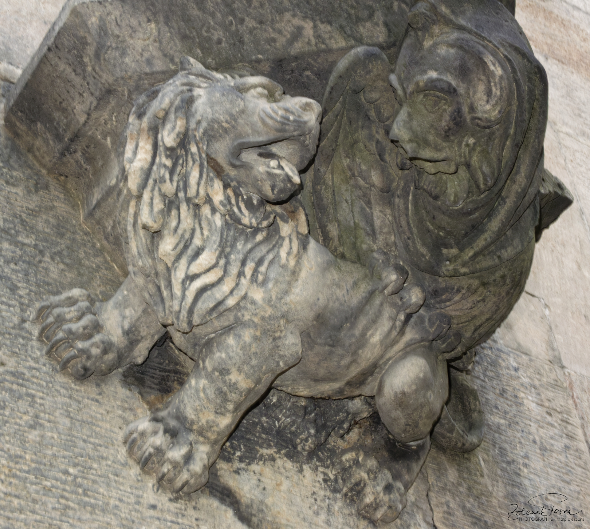 Lion et corbeau